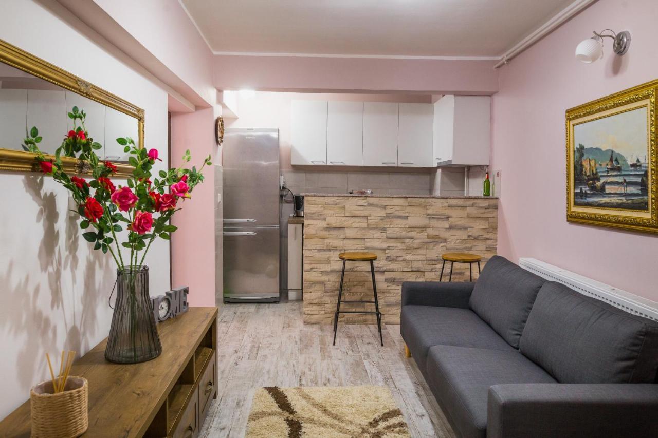 Ferienwohnung Alpin Central Studio Brașov Exterior foto