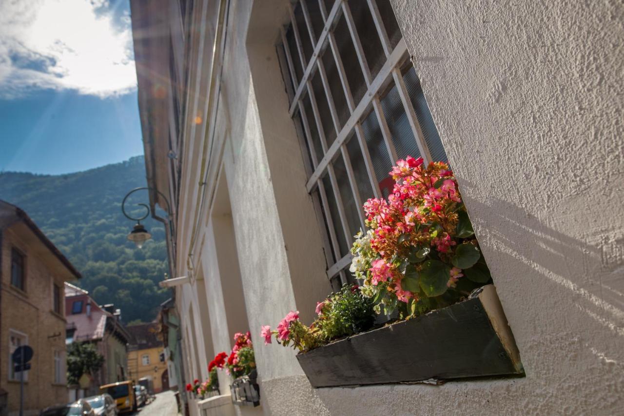 Ferienwohnung Alpin Central Studio Brașov Exterior foto